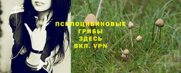 эйфоретик Гусиноозёрск
